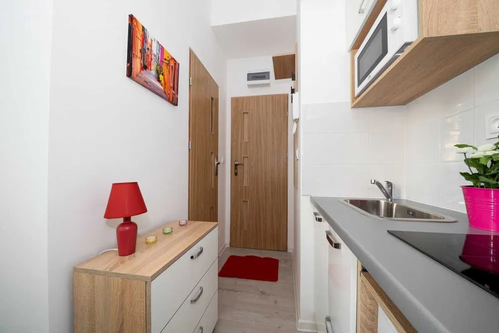 Budget-Friendly Studio at Jabłonna Street | Private Kitchen & Bathroom view
